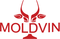 MoldVin logo-1x