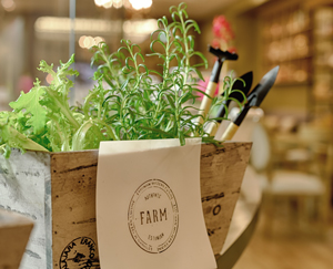 Ресторан FARM — новое видение эстонской кухни