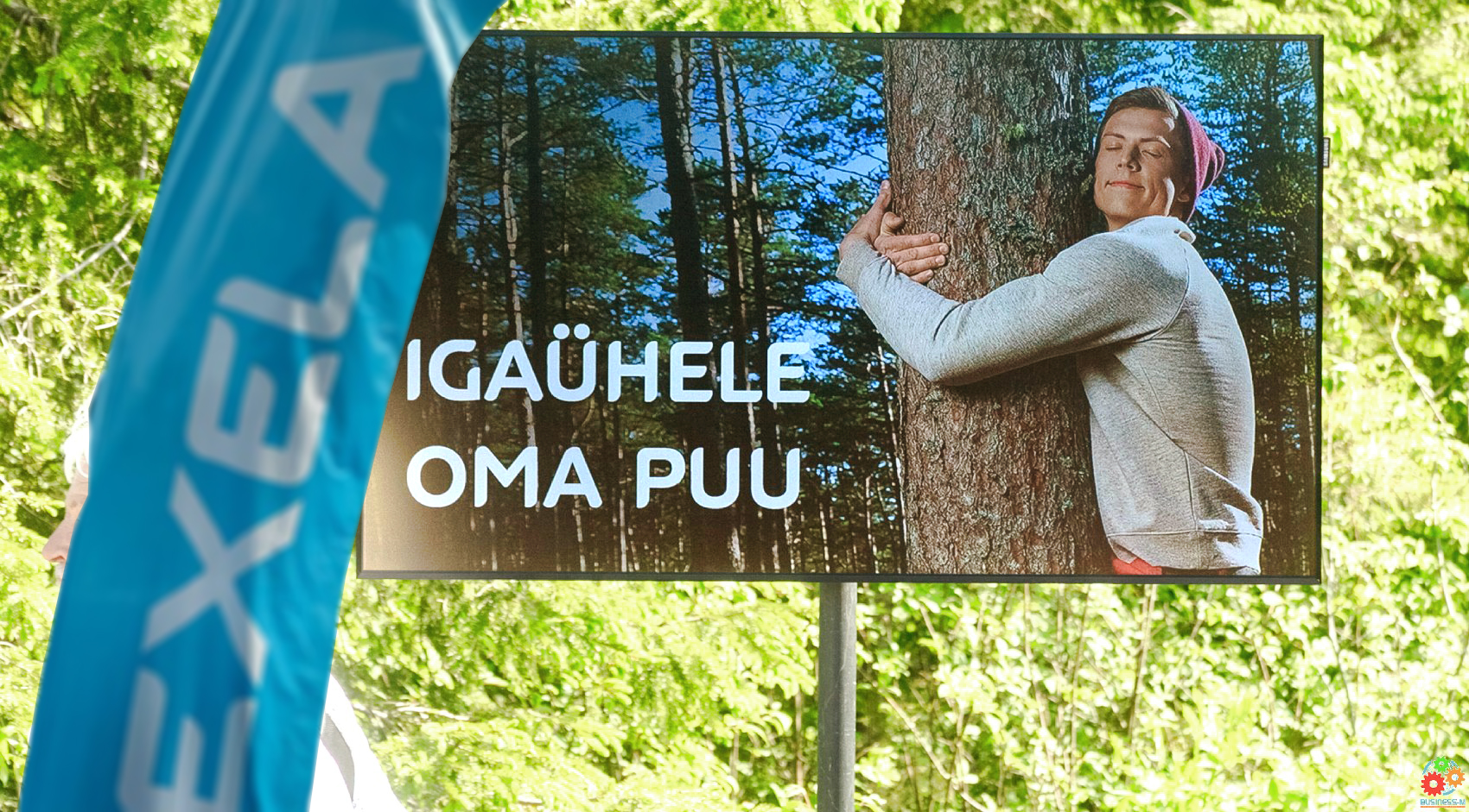 Alexela: 20 000 деревьев будет высажено по всей Эстонии