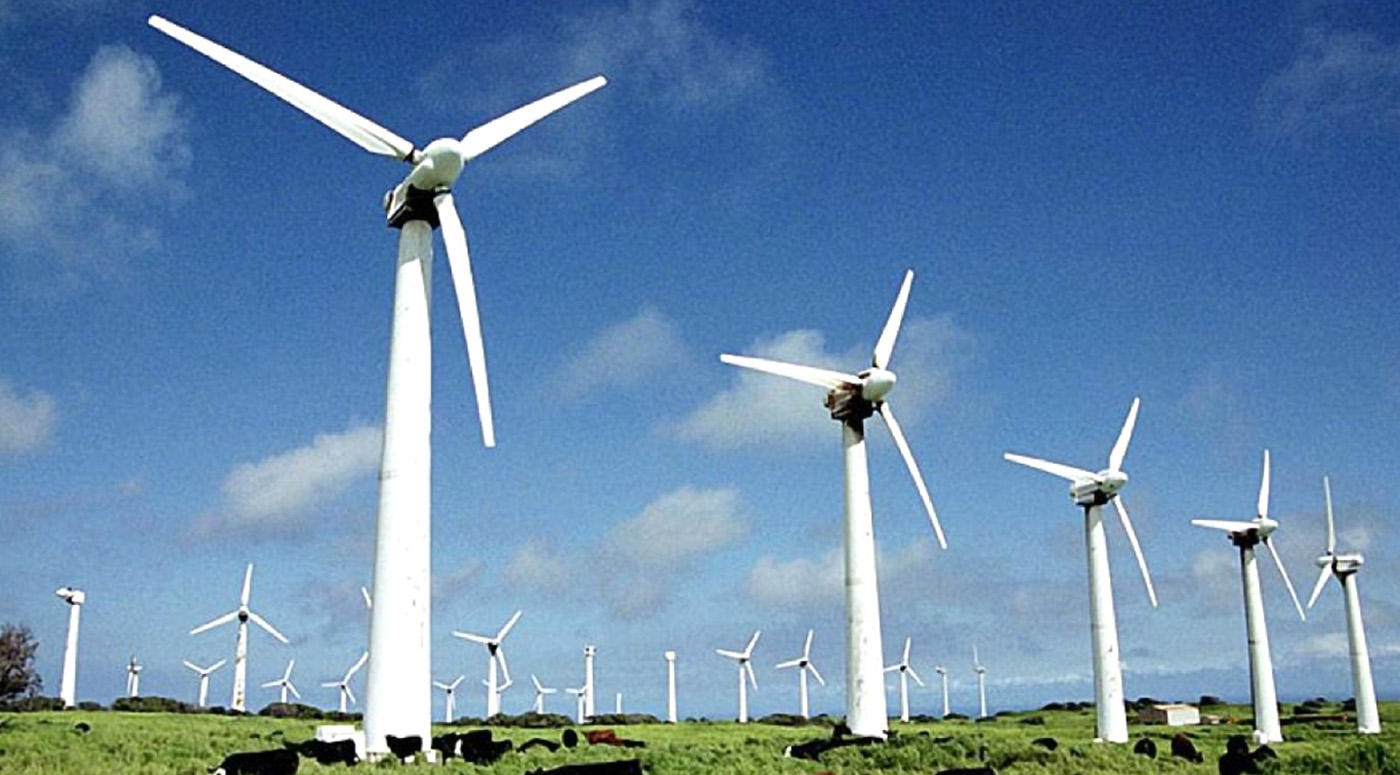 Союз ветряной энергетики  — на переговоры с правительством