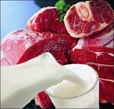 Волнения на мясо-молочном рынке Эстонии