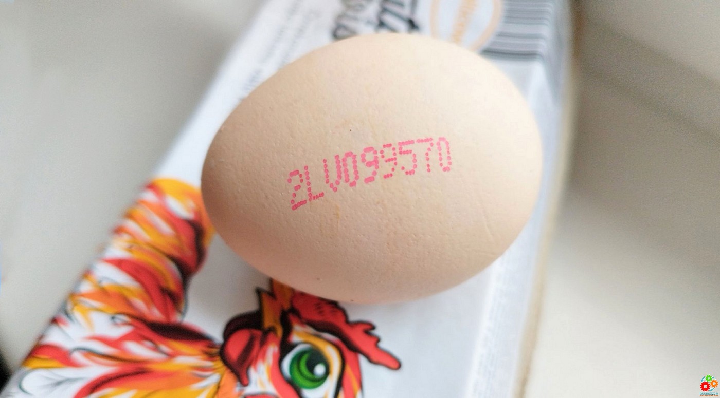 Lidl: Покупатели поддержали заботу о курах