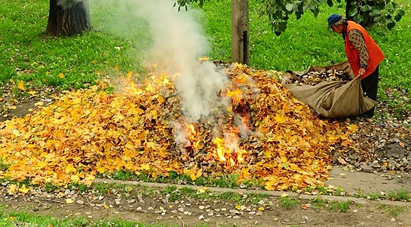 Вечный осенний вопрос – сжигать ли листья?