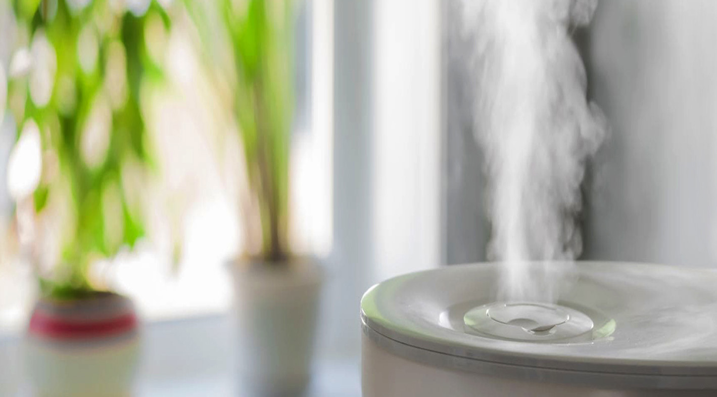 Как улучшить дома качество воздуха — советы аллерголога